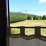 Ensan Ciprian Casa Lula