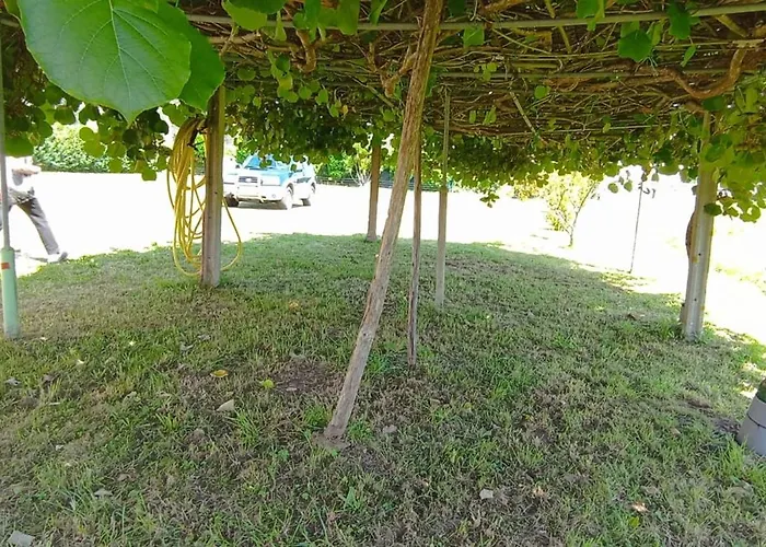 Ensan Ciprian Casa Lula *