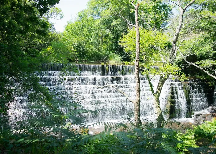 Ensan Ciprian Casa Lula *